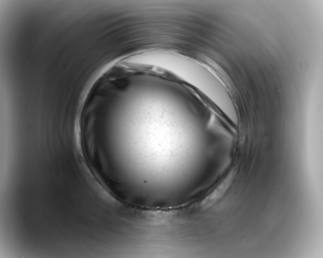 X0000088440812200706051247