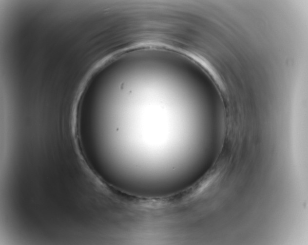 X0000088440815200706051247