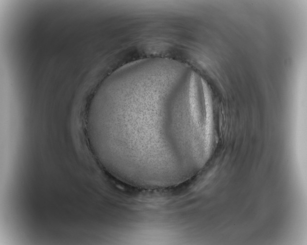 X0000088440817200706051246