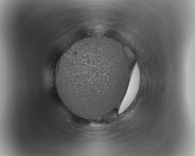 X0000088440818200706051246