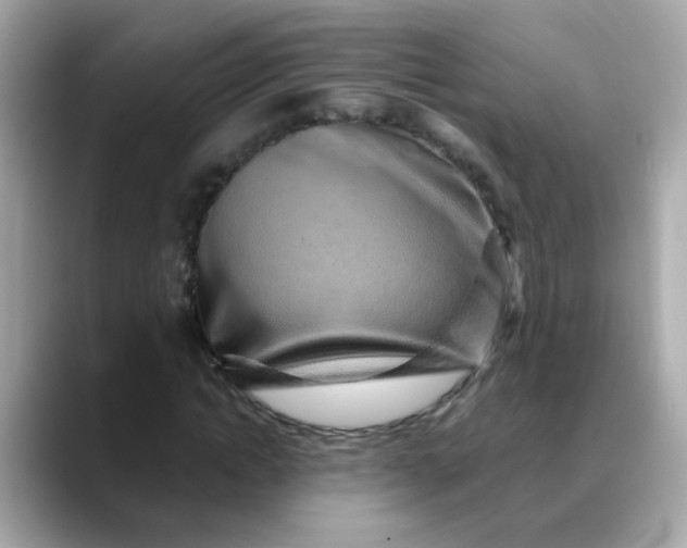 X0000088440822200706051246