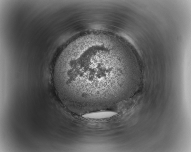 X0000088440823200706051246