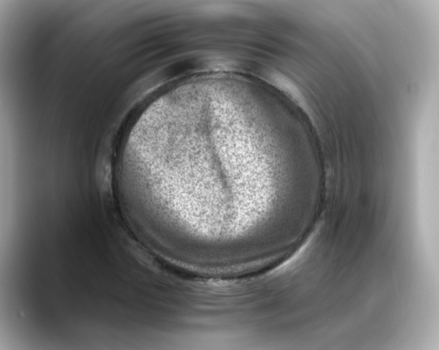 X0000088440827200706051246