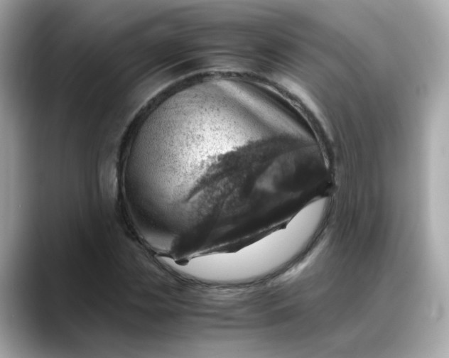 X0000088440829200706051246