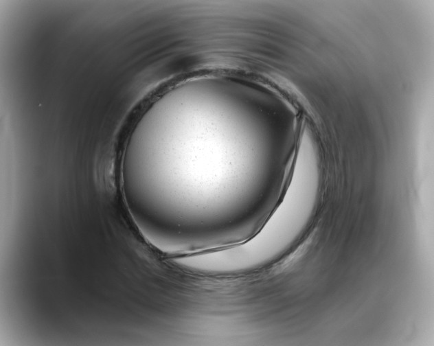 X0000088440830200706051246