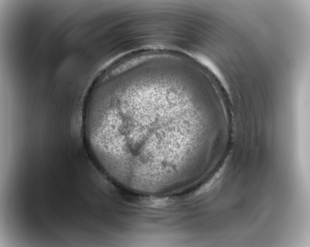X0000088440831200706051246