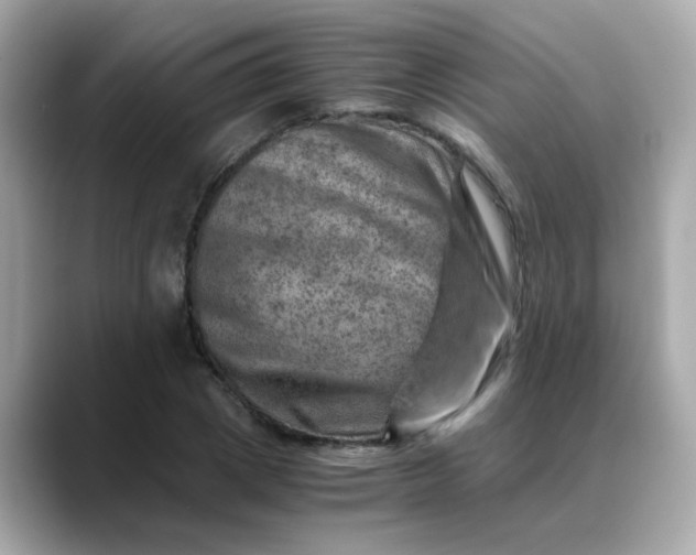 X0000088440833200706051246