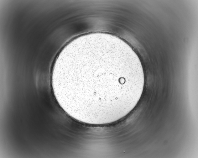 X0000088440836200706051246