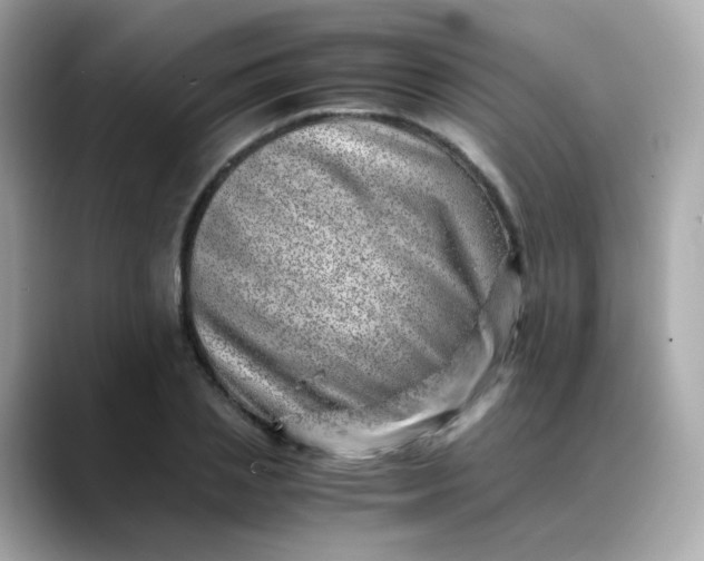 X0000088440837200706051247
