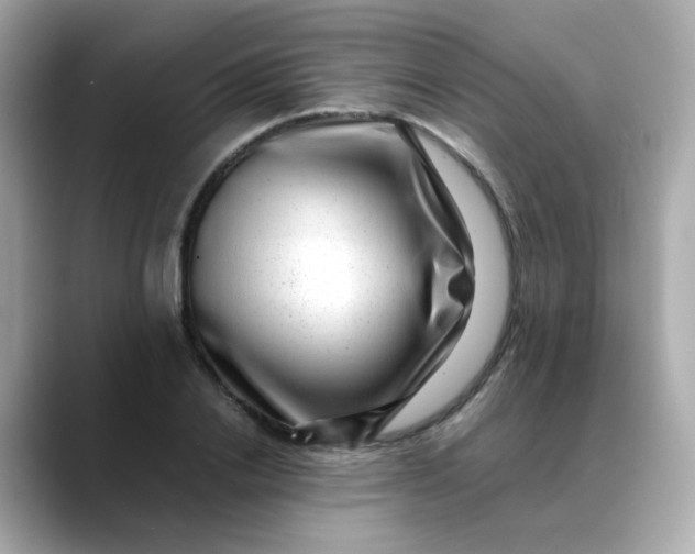 X0000088440838200706051247