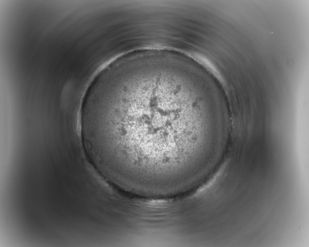 X0000088440839200706051247