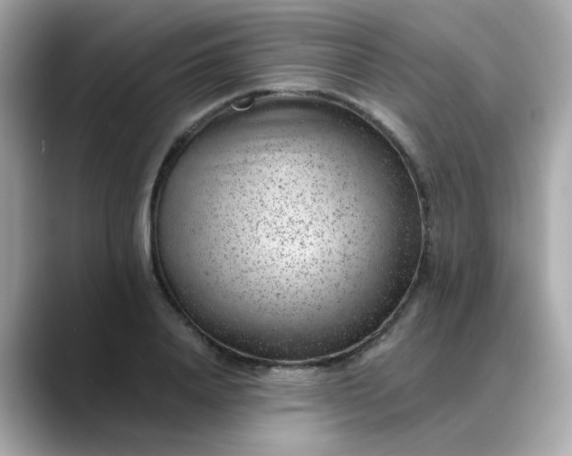 X0000088440840200706051247