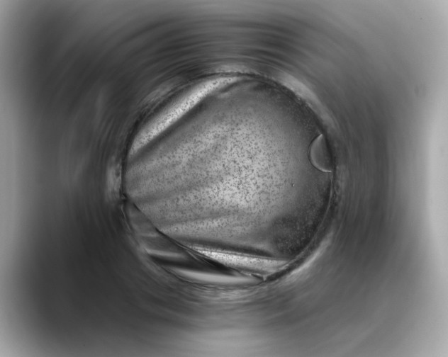 X0000088440841200706051247
