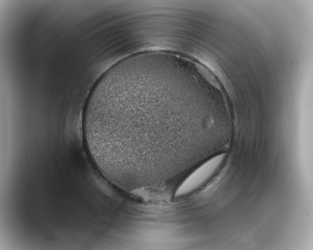 X0000088440842200706051247