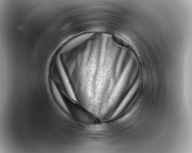 X0000088440843200706051247