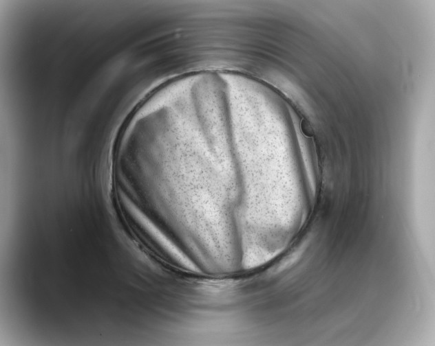 X0000088440844200706051247