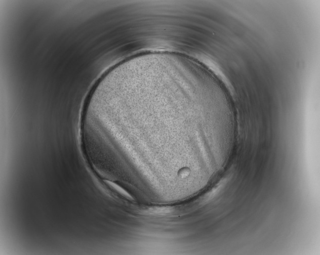 X0000088440845200706051247
