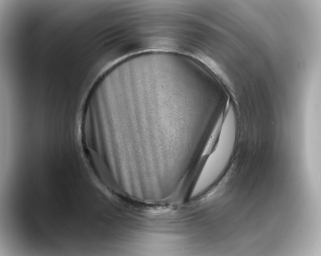 X0000088440846200706051247
