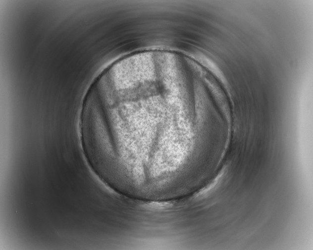 X0000088440847200706051247