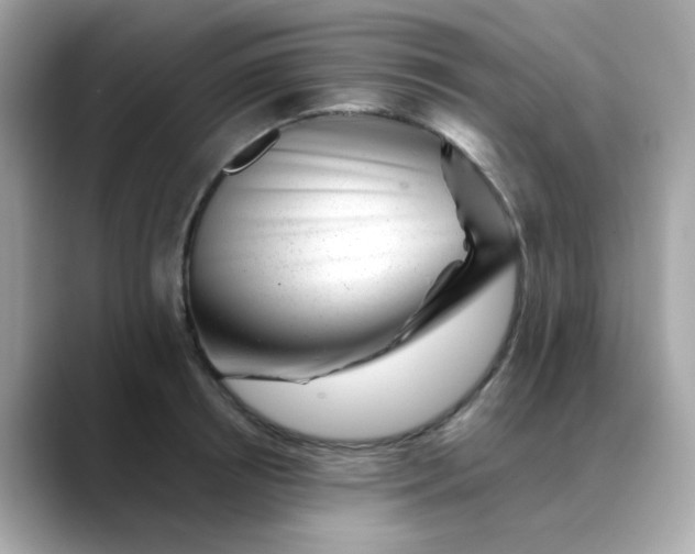X0000088440850200706051247