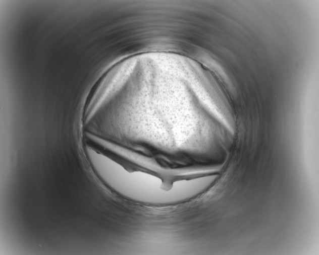 X0000088440852200706051247