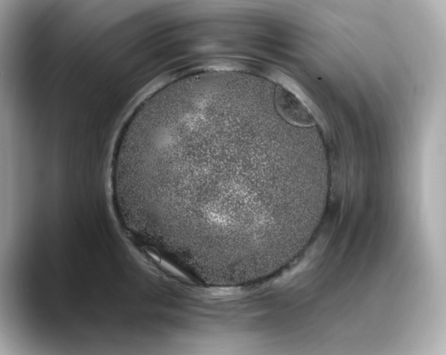 X0000088440853200706051247
