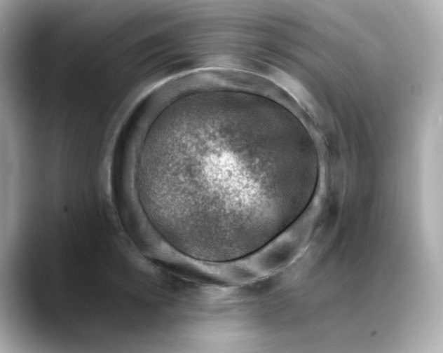 X0000088440854200706051247