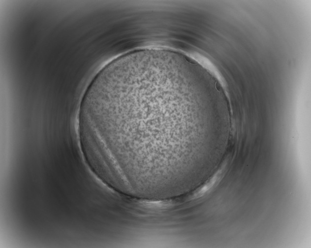 X0000088440855200706051247