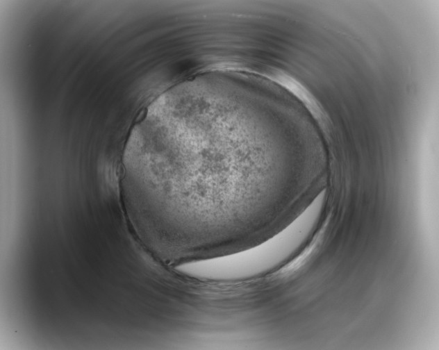 X0000088440857200706051247