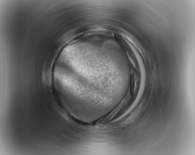 X0000088440858200706051247