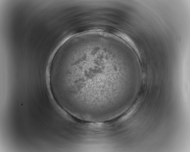 X0000088440859200706051247
