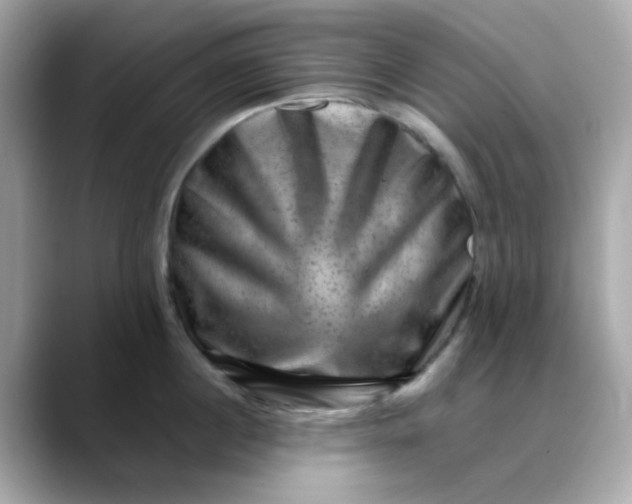X0000088440860200706051247