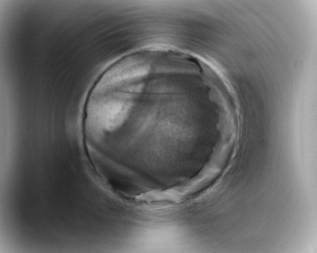 X0000088440864200706051247