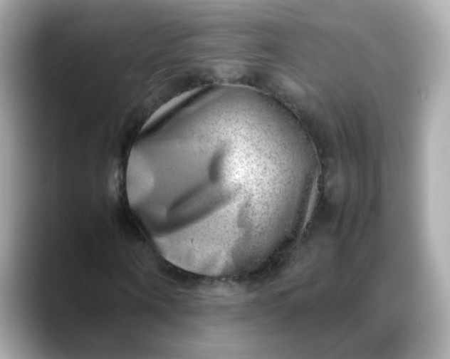 X0000088440866200706051246