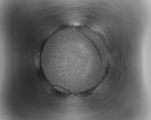 X0000088440868200706051246