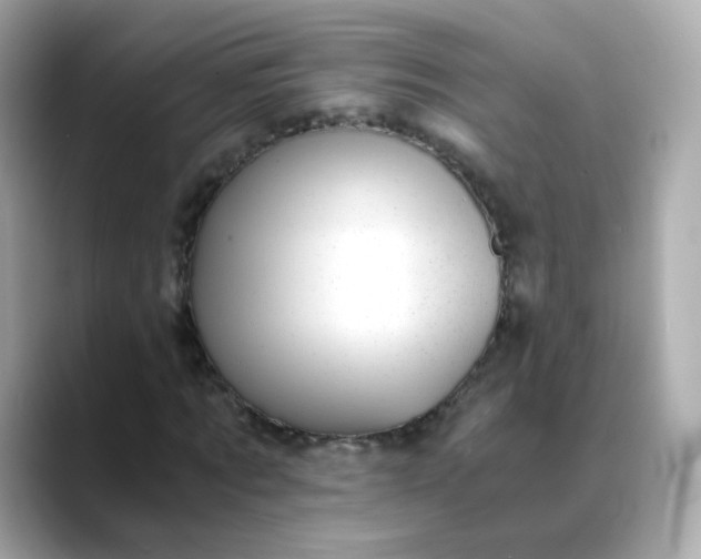 X0000088440869200706051246
