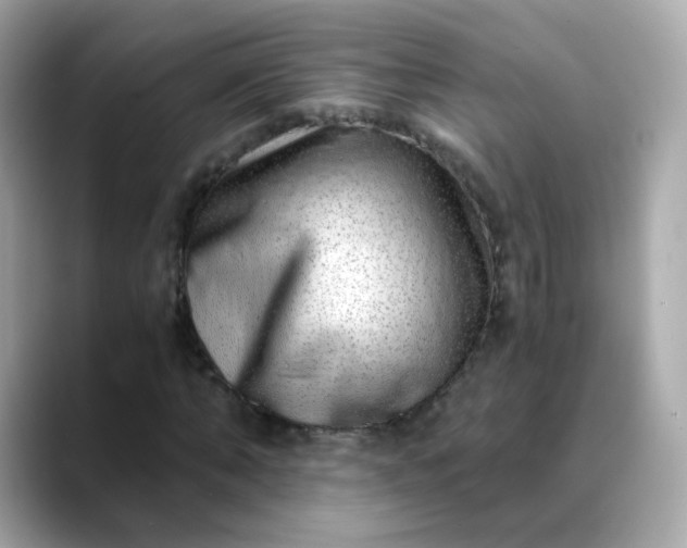 X0000088440870200706051246