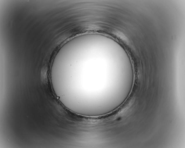 X0000088440873200706051246