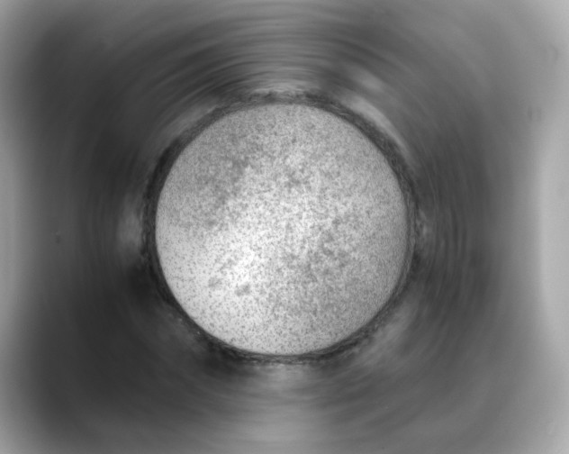X0000088440874200706051246