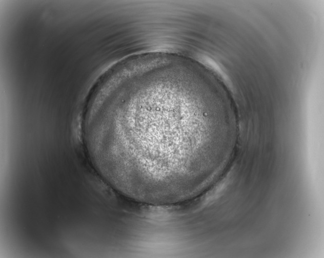 X0000088440875200706051246