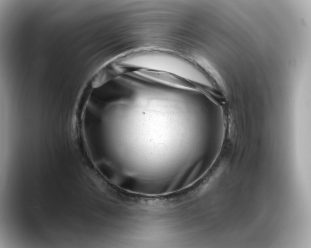X0000088440876200706051246