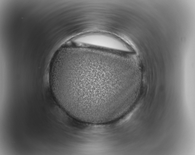 X0000088440877200706051246