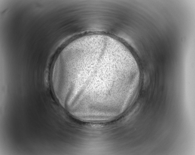 X0000088440878200706051246