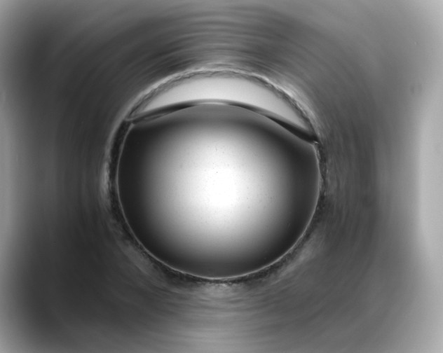X0000088440880200706051246