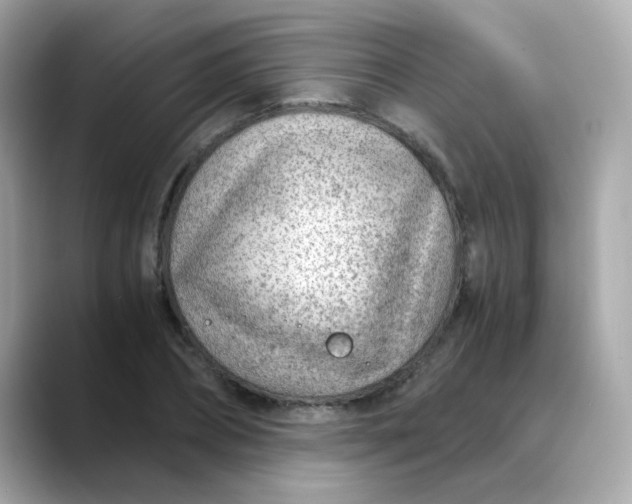 X0000088440882200706051246