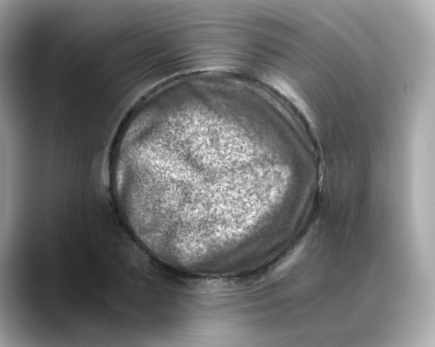 X0000088440883200706051246