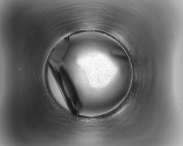 X0000088440885200706051246
