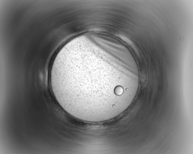 X0000088440886200706051246