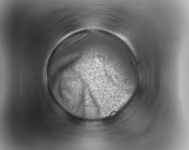 X0000088440887200706051246