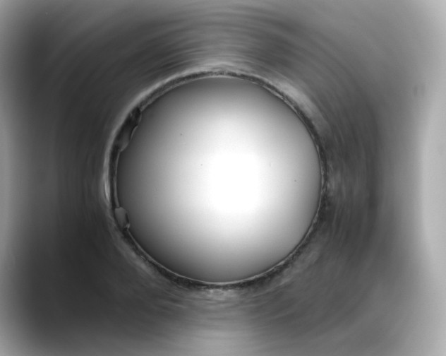 X0000088440888200706051246